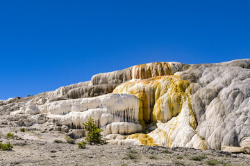 Scenic landscape view of the Travertine Terraces at Mammoth Hot Springs in Yellowstone National Park