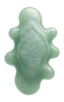 Archaeon with pleomorphic structure and faint greenish tint