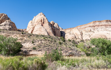 Fototapeta premium Vegetation and Rock Formation in Capitol Reef National Park, Utah, USA