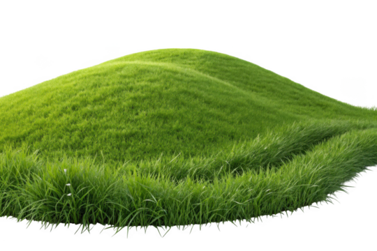 Lush green grassy hill with a winding path of tall grass isolated on transparent background