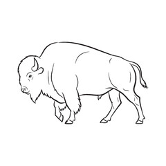 Unleashed Bison Wild Spirit Manifested - Bison vector - Bison Line art - Bison Drawing - Vector Lineart of Bison - Bison icon - its inherent wildness core identity


