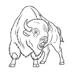 Fierce Bison Commanding Head Captured - Bison vector - Bison Line art - Bison Drawing - Vector Lineart of Bison - Bison illustration - its prominent visual defining features

