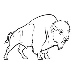 Vast Bison Inherent Qualities Displayed - Bison vector - Bison Line art - Bison Drawing - Vector Lineart of Bison - Bison illustration - an impressive powerful wild entity

