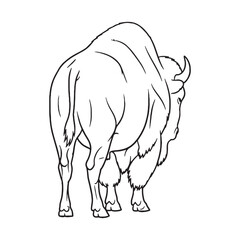 Unyielding Bison True Nature Exemplified - Bison vector - Bison Line art - Bison Drawing - Vector Lineart of Bison - Bison illustration - its determined unwavering feral character

