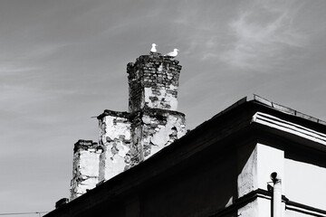 A black and white photo of a bird perched on top of a building, suitable for use in architecture or...