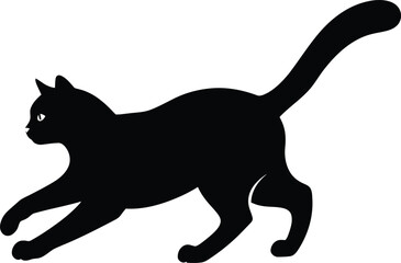 Minimalist Cat Playing Indoors