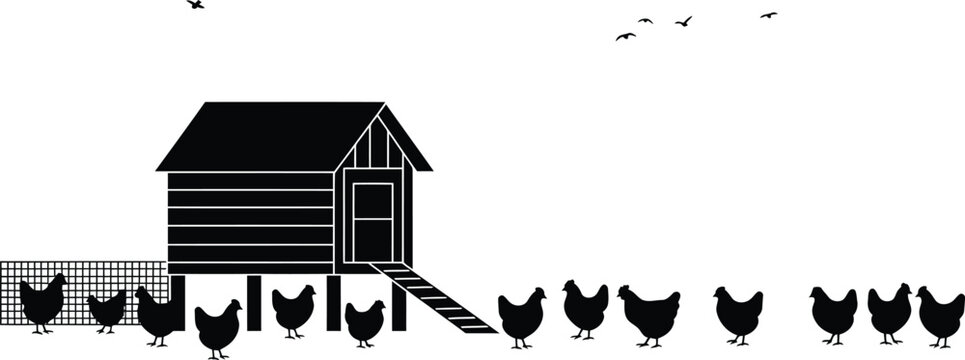 Minimalist Black and White Chicken Coop