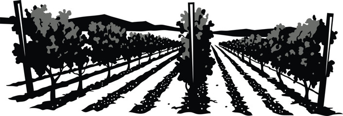 Minimalist Vineyard Design