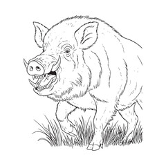 Defining Boar Fundamental Shape Rendered - Boar vector - Boar Line art - Boar Drawing - Vector Lineart of Boar - Boar icon - its absolute underlying core structure

