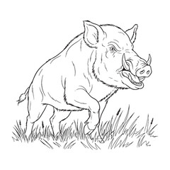 Dominant Boar Form - Boar vector - Boar Line art - Boar Drawing - Vector Lineart of Boar - Boar icon - robust shape

