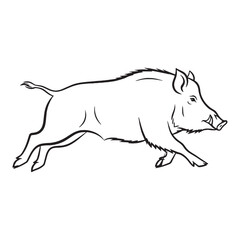 Unyielding Boar Nature - Boar vector - Boar Line art - Boar Drawing - Vector Lineart of Boar - Boar illustration - determined character

