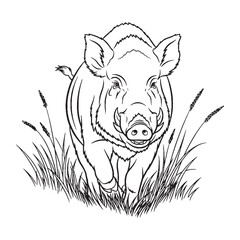 Essence Boar Being - Boar vector - Boar Line art - Boar Drawing - Vector Lineart of Boar - Boar icon - primal symbol

