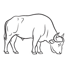 Steadfast Buffalo Form - Buffalo vector - Buffalo Line art - Buffalo Drawing - Vector Lineart of Buffalo - Buffalo icon - enduring look

