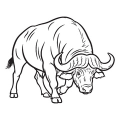 Examining Buffalo Makeup - Buffalo vector - Buffalo Line art - Buffalo Drawing - Vector Lineart of Buffalo - Buffalo icon - physical elements

