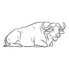 Dominant Buffalo Form - Buffalo vector - Buffalo Line art - Buffalo Drawing - Vector Lineart of Buffalo - Buffalo icon - grand shape

