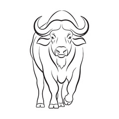 Fototapeta premium Rugged Buffalo Anatomy - Buffalo vector - Buffalo Line art - Buffalo Drawing - Vector Lineart of Buffalo - Buffalo icon - sturdy frame