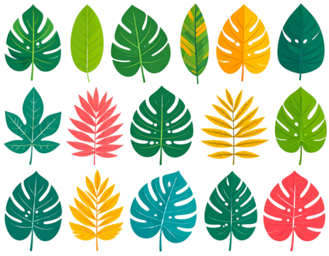 tropical leaf set with vibrant colors, flat style, transparent background 