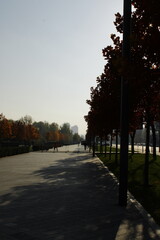 autumn in the city