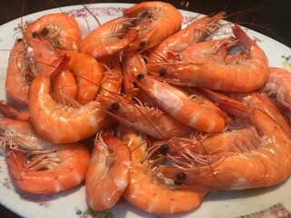 Large steamed prawns served with spicy dipping sauce on a white plate. Fresh seafood dish popular in Thai cuisine, featuring juicy and tender prawns.