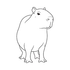 Highlighting Capybara Aspects - Capybara vector - Capybara Line art - Capybara Drawing - Vector Lineart of Capybara - Capybara icon - unique individual characteristics

