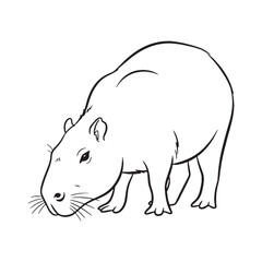 Presenting Capybara Spirit - Capybara vector - Capybara Line art - Capybara Drawing - Vector Lineart of Capybara - Capybara illustration - reflecting its true essence

