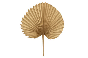 Natural dried palm leaf isolated on transparent background, perfect for adding a touch of tropical elegance to any design project