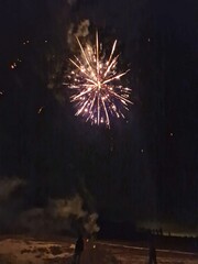 fireworks in the night sky