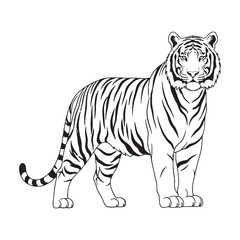 A Tiger's Essence - Tiger vector - Tiger Line art - Tiger Drawing - Vector Lineart of Tiger - Tiger illustration - pure intensity

