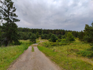 A dirt road in the middle of a grassy field with trees in the background