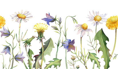 Seamless watercolor border with wildflowers, hand-painted. Botanical illustration. Dandelions, daisies, bluebells and green leaves. Seamless floral template for invitations, postcards, textiles