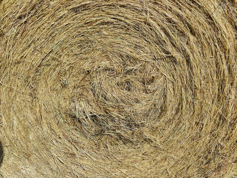 A close up of a hay bale with a spiral pattern on it - Powered by Adobe