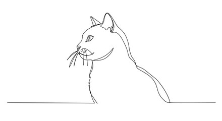Cat outline drawing with whiskers on a transparent background  