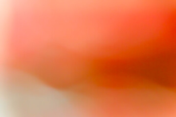 Seamless tangerine-to-apricot gradient wash evoking a warm, minimalist digital canvas for contemporary design