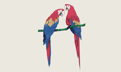Tropical bird print design. Parrot set. Macaw paradise artwork. © riaz