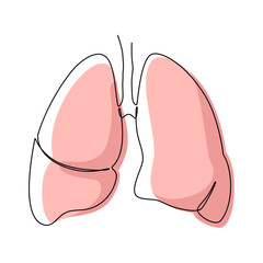 Lungs on a white background. Human organ in LineArt style.