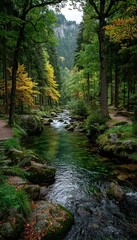 A vibrant river flows through a lush autumn forest