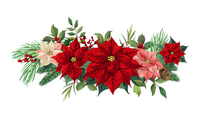 Bouquet of poinsettias with leaves, berries and cones on a white background. Vector illustration.