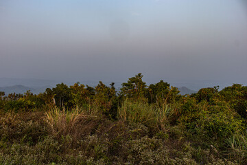 Cool morning breeze in cloudy Sajek trails, Bangladesh
