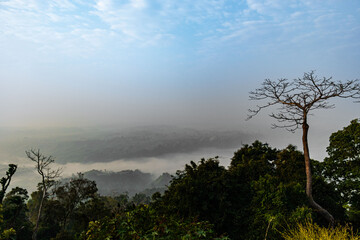 Dense clouds embracing Sajek forest, bangladesh