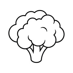 vector illustration of a cauliflower