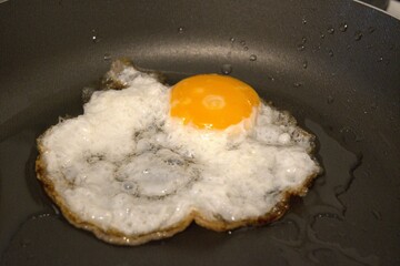One fried egg in the pan close up