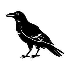 Fototapeta premium Crow Silhouette Vector Illustration – Black Bird Graphic Isolated on White Background