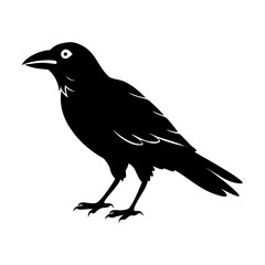 Obraz premium Crow Silhouette Vector Illustration – Black Bird Graphic Isolated on White Background