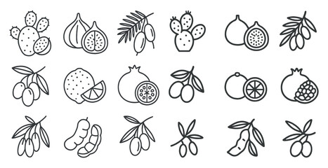 Fototapeta premium Collection of fruit and vegetables in a line drawing style. The fruits and vegetables include oranges, lemons, pomegranates, and olives