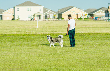 Front view, medium distance of, an adult male walking a Norwegian elkhound dog, on a tropical, grassy, field, under hazy, morning sunlight
