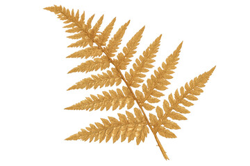 Naklejka premium Golden fern frond glimmering against transparent backdrop, highlighting botanical elegance