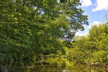 Sunny Summer day landscape of a shaded stretch of Dells Creek surrounded by a lush green forest near Baraboo, Wisconsin.