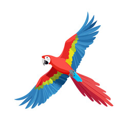 Fototapeta premium Colorful Macaw Bird Isolated on a Transparent Background