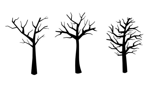 A simple and clean looping animation featuring three leafless trees blowing in the wind in a vector illustration style. 