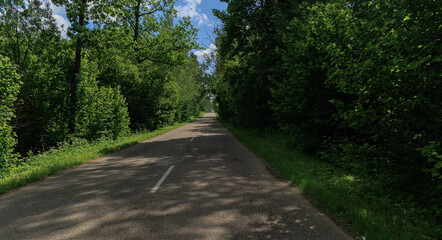 Road view on a summer day. Highways, roadside and white road line markings.	